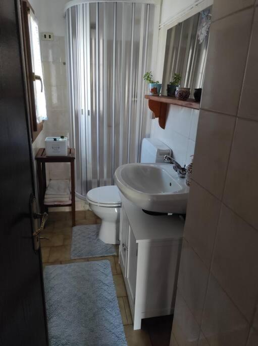 Casa Del Cios Calda E Intima Casetta Immersa Nel Verde Delle Montagne Alpe Basciumo Exterior foto