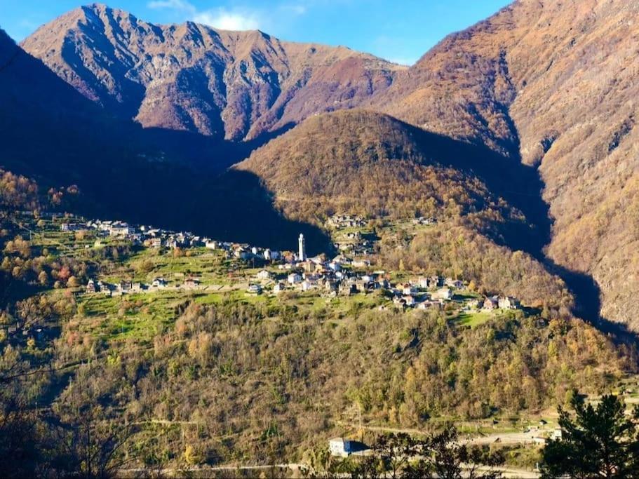 Casa Del Cios Calda E Intima Casetta Immersa Nel Verde Delle Montagne Alpe Basciumo Exterior foto
